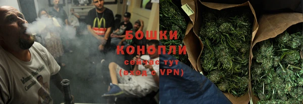 прущие крисы Белокуриха