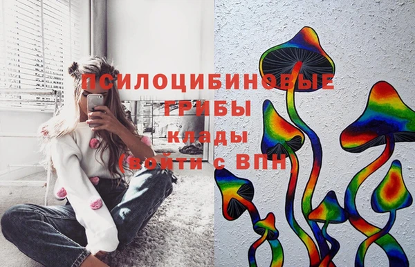 прущие крисы Белокуриха