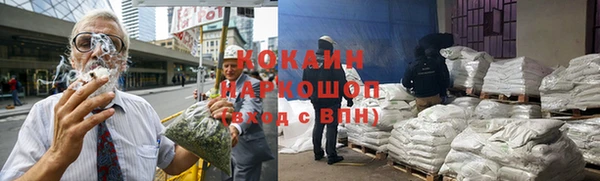 прущие крисы Белокуриха